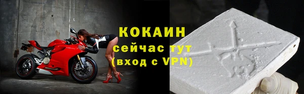 стафф Ростов