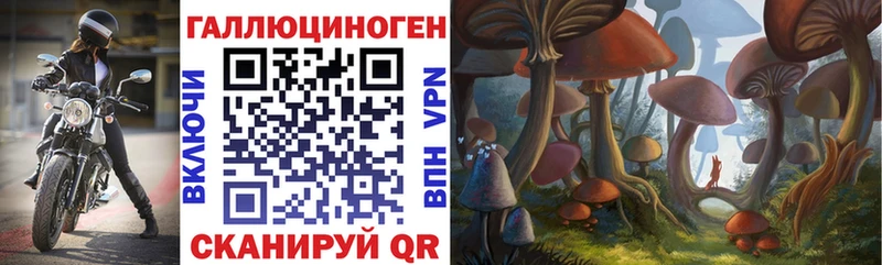 Псилоцибиновые грибы Psilocybe  Купить где  Заринск 